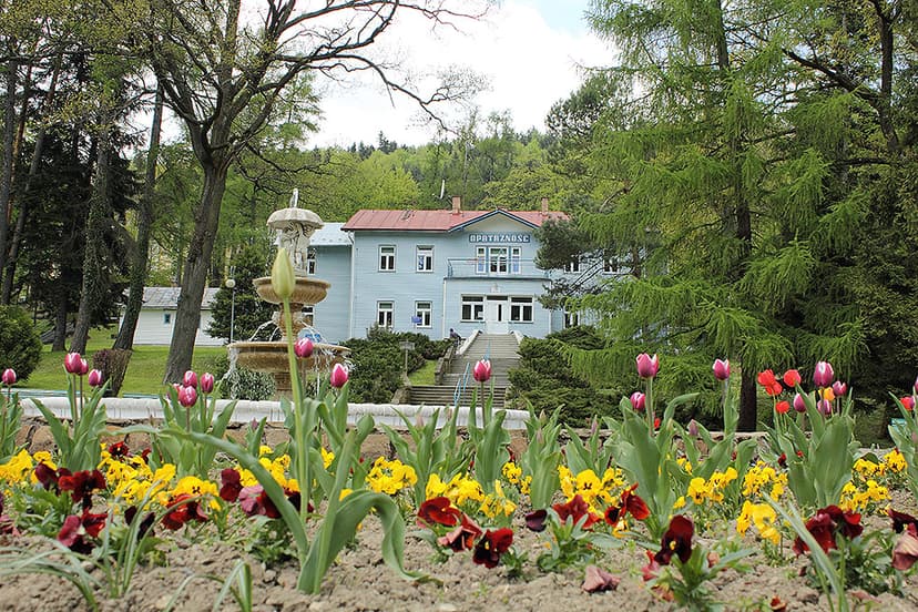 Sanatorium Uzdrowiskowe "GOŁĄBEK I OPATRZNOŚĆ" view