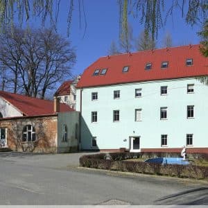 Buk